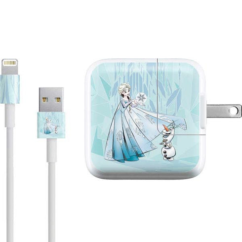 Disney Frozen Elsa and Olaf Art iPad Charger (10W USB) Skin