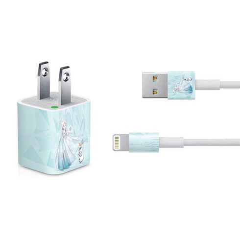 Disney Frozen Elsa and Olaf Art iPhone Charger (5W USB) Skin