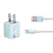 Disney Frozen Elsa and Olaf Art iPhone Charger (5W USB) Skin