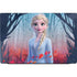 Disney Frozen II Elsa Dell Vostro Skin
