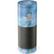 Disney Frozen Elsa Icy Powers Art Amazon Echo Skin