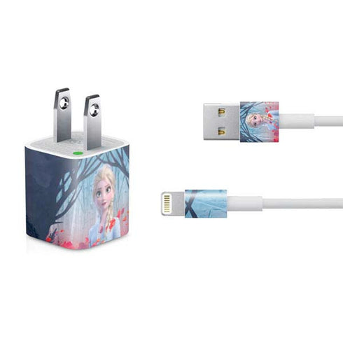 Disney Frozen II Elsa iPhone Charger (5W USB) Skin
