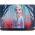 Disney Frozen II Elsa Legion Y720 Skin