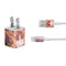 Ruth Thompson Ember Fire Fairy iPhone Charger (5W USB) Skin