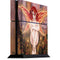 Ruth Thompson Ember Fire Fairy PS4 Console Skin
