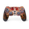 Ruth Thompson Ember Fire Fairy PS4 Controller Skin