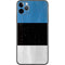 Estonia Flag Distressed iPhone 11 Pro Max Skin