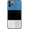 Estonia Flag Distressed iPhone 11 Pro Skin