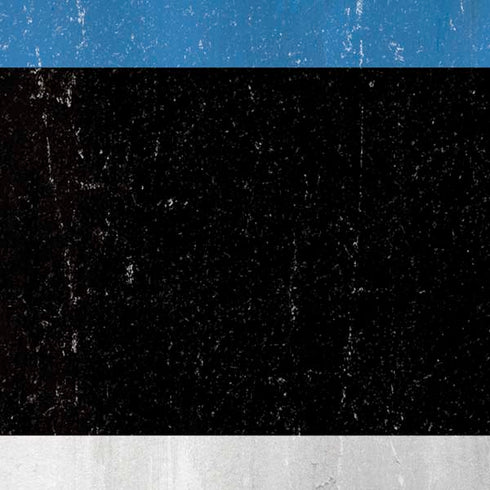 Estonia Flag Distressed iPhone XS Max Skin