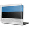 Estonia Flag Distressed MacBook Pro 16in (2021-25) Case plus Skin