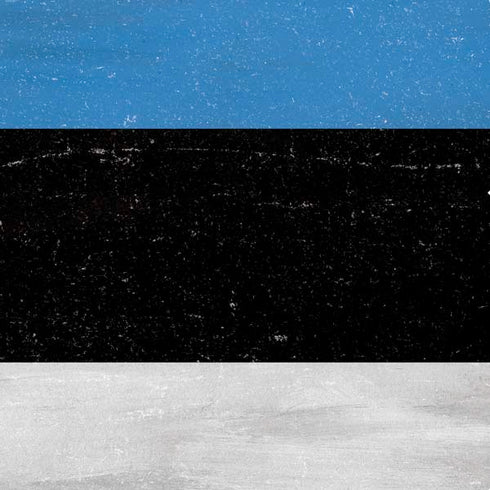 Estonia Flag Distressed PS4 Console Skin