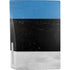 Estonia Flag Distressed PS5 Console Skin