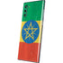 Ethiopia Flag Distressed Galaxy Note 10 Skin