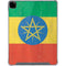 Ethiopia Flag Distressed iPad Pro 12.9in (2020) Clear Case