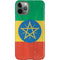 Ethiopia Flag Distressed iPhone 11 Pro Lite Case