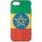 Ethiopia Flag Distressed iPhone 8 Pro Case