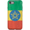 Ethiopia Flag Distressed iPhone SE (2nd & 3rd Gen) Pro Case