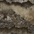 RealTree Excape Camo Otterbox Commuter Galaxy Skin