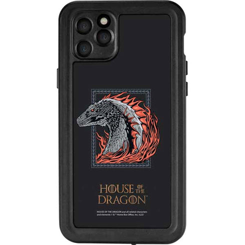 HBO House of the Dragon Eye of The Beholder iPhone 11 Pro Max Waterproof Case