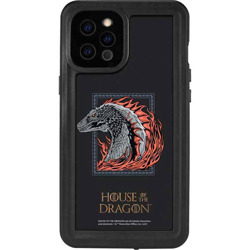 HBO House of the Dragon Eye of The Beholder iPhone 12 Pro Max Waterproof Case