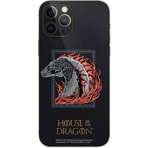 HBO House of the Dragon Eye of The Beholder iPhone 12 Pro Skin