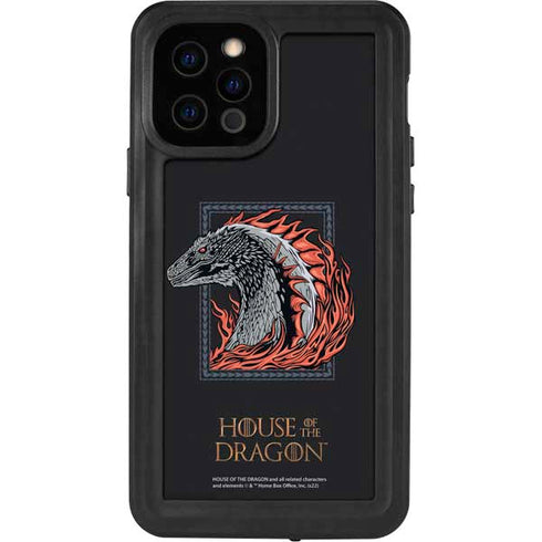 HBO House of the Dragon Eye of The Beholder iPhone 12 Pro Waterproof Case