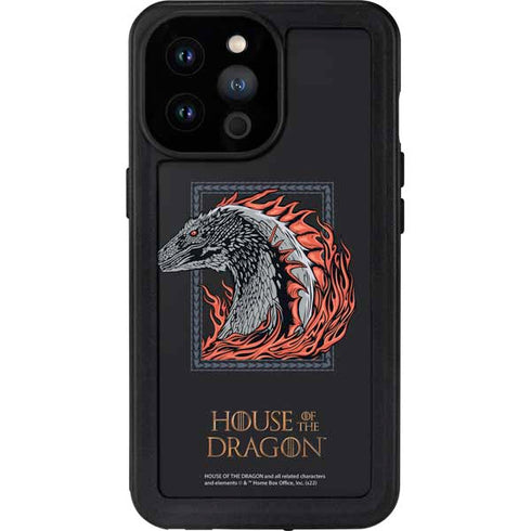 HBO House of the Dragon Eye of The Beholder iPhone 14 Pro Max Waterproof Case