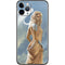 LA Williams Fairy Goddess iPhone 11 Pro Skin