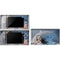 Fairy on Moon with Birds by Nene Thomas DS Lite Skin