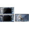 Fairy with Black Cat Sitting on Moon by Nene Thomas DS Lite Skin