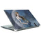Fairy with Black Cat Sitting on Moon by Nene Thomas Portege Z30t/Z30t-A Skin