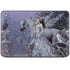 Fairy with Horse in Snow by Nene Thomas HP Chromebook Skin