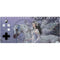 Fairy with Horse in Snow by Nene Thomas Xbox Adaptive Controller Skin