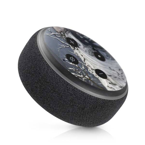 Fairy with Owl in Snow by Nene Thomas Amazon Echo Dot Skin