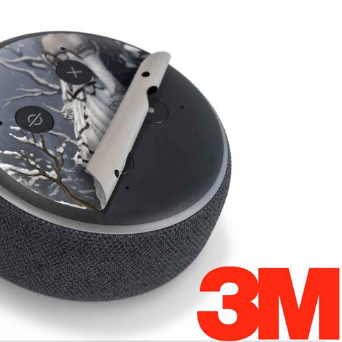 Fairy with Owl in Snow by Nene Thomas Amazon Echo Dot Skin