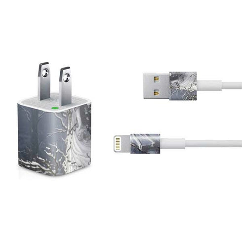 Fairy with Owl in Snow by Nene Thomas iPhone Charger (5W USB) Skin