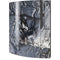 Fairy with Owl in Snow by Nene Thomas Playstation 3 & PS3 Skin