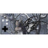 Fairy with Owl in Snow by Nene Thomas Xbox Adaptive Controller Skin