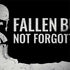 Fallen But Not Forgotten Notebook 9 Pro 13in (2017) Skin