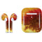 Falling Notes Apple AirPods 2 Skin