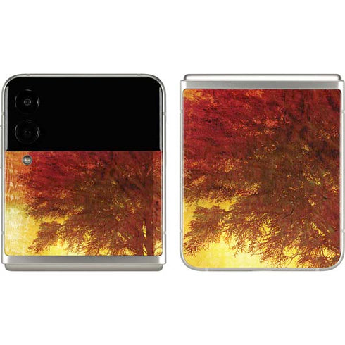 Falling Notes Galaxy Z Flip3 5G Skin