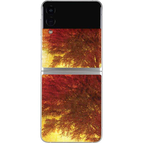 Falling Notes Galaxy Z Flip3 5G Skin