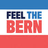 Feel The Bern Moto E5 Play Skin