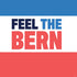 Feel The Bern PS4 Slim Skin
