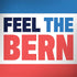 Feel The Bern HP Spectre Skin