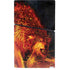 Fire Stalker Wolf by Tom Wood PS5 Slim Digital Edition Bundle Skin
