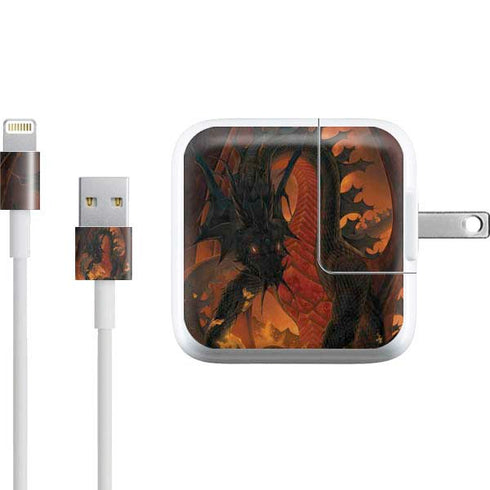 Vincent Hie Fireball Dragon iPad Charger (10W USB) Skin