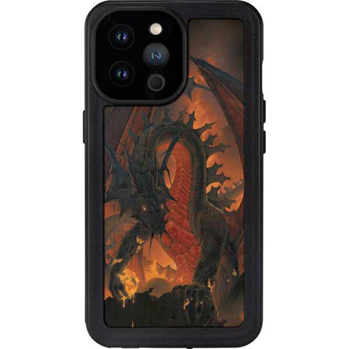 Vincent Hie Fireball Dragon iPhone 14 Pro Max Waterproof Case