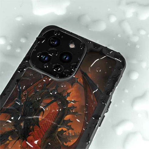 Vincent Hie Fireball Dragon iPhone 14 Pro Max Waterproof Case