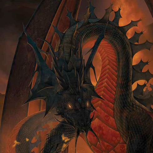 Vincent Hie Fireball Dragon Moto G6 Skin